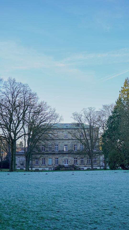 Blick auf die Hochschule für Musik aus dem Palaisgarten