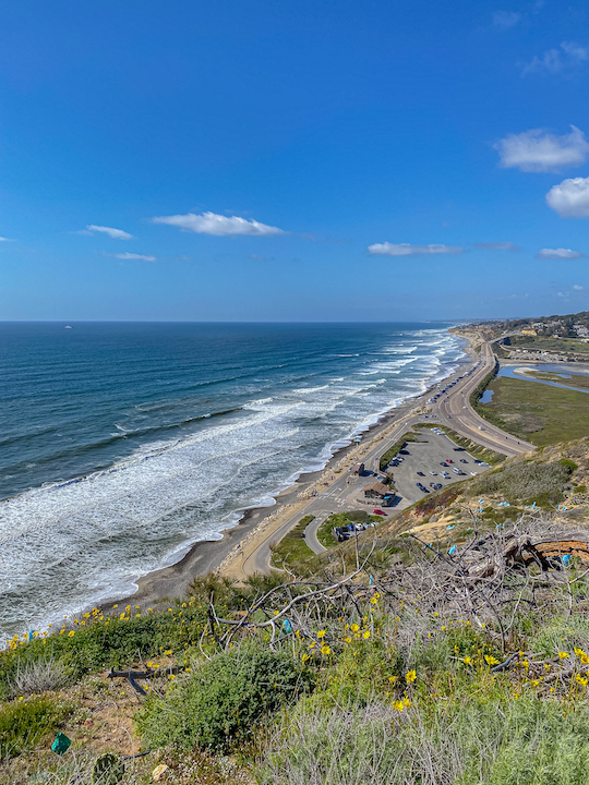 Blick von oben auf den Torrey Pines State Beach