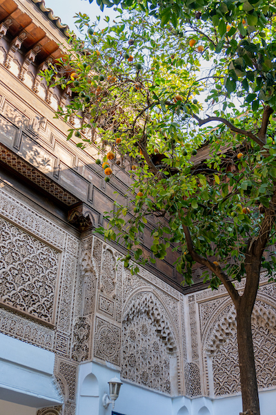 Innenhof mit Zitrus-Baum im Bahia-Palast