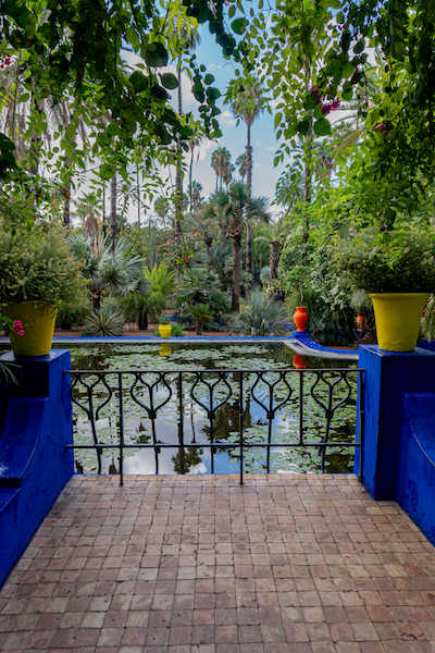 Teich im Jardin Majorelle