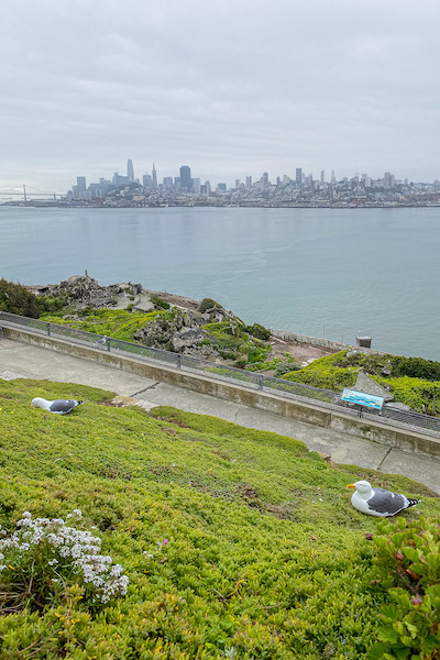 Skyline von San Francisco von Alcatraz aus