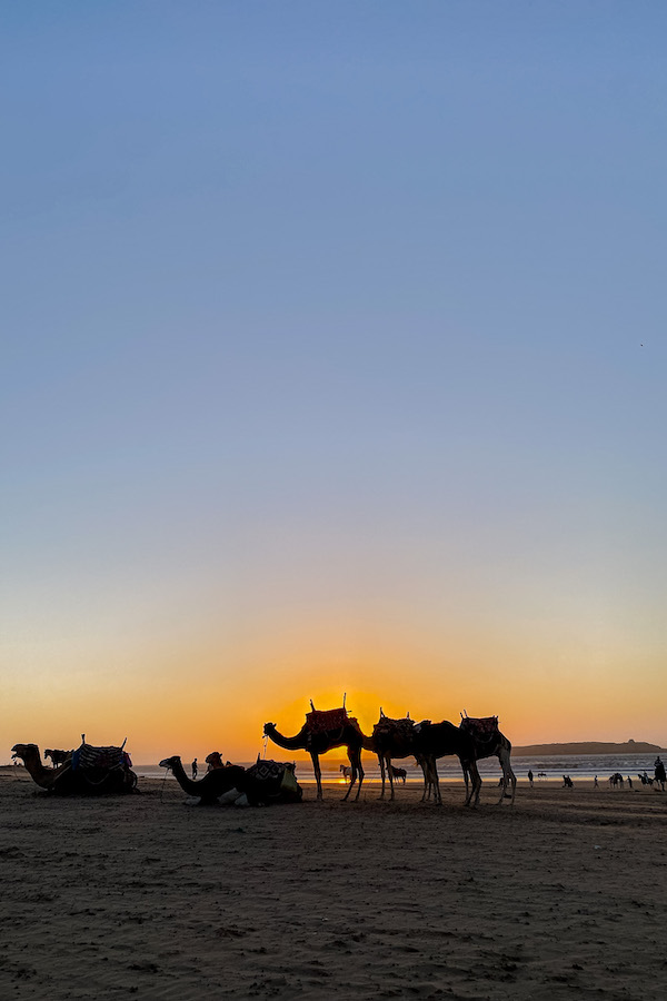 Blick auf den Sonnenuntergang im Restaurant Ocean Vagabond