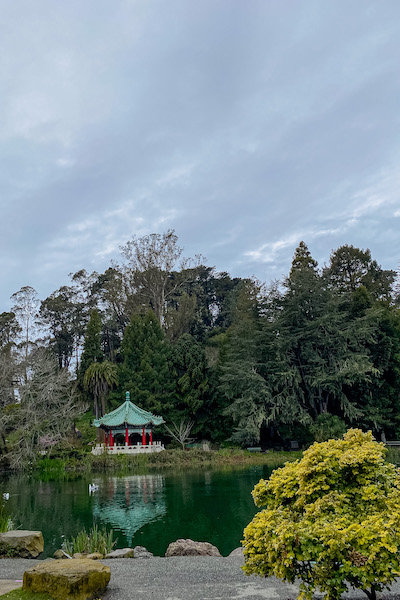 Der Japanese Tea Garden im Golden Gate Park