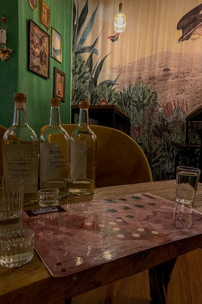 Mezcal-Verkostung in Oaxaca